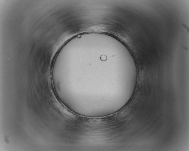 X0000102221470200808081306