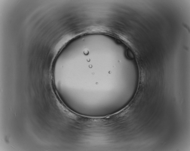 X0000102221471200808081306