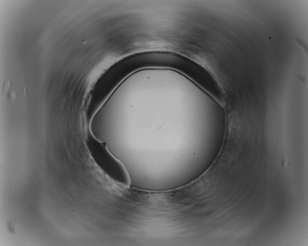 X0000102221472200808081306