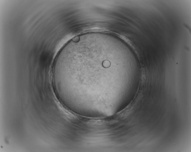 X0000102221474200808081306