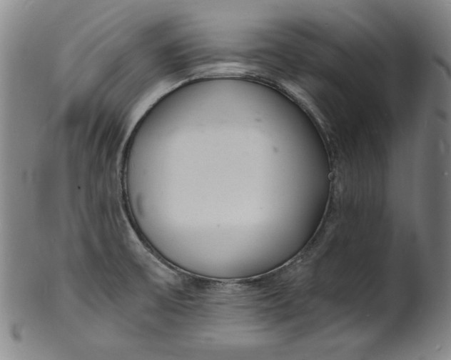 X0000102221475200808081306