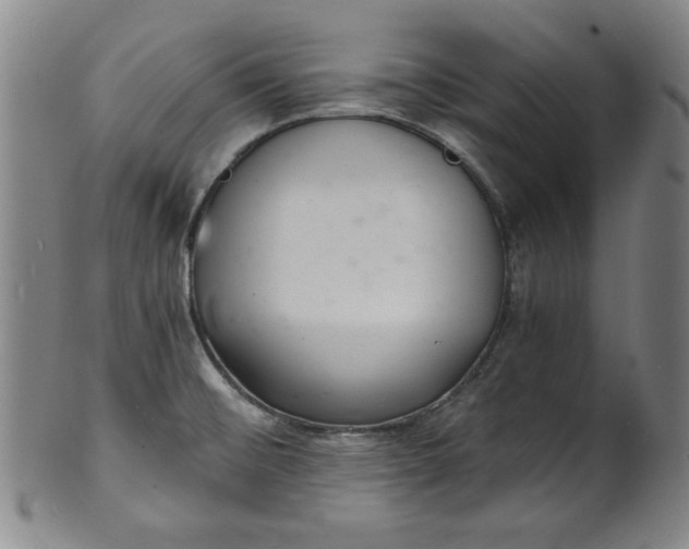 X0000102221476200808081305