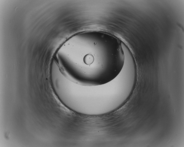 X0000102221477200808081305