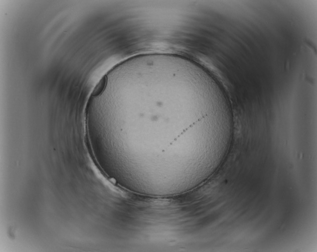 X0000102221479200808081305