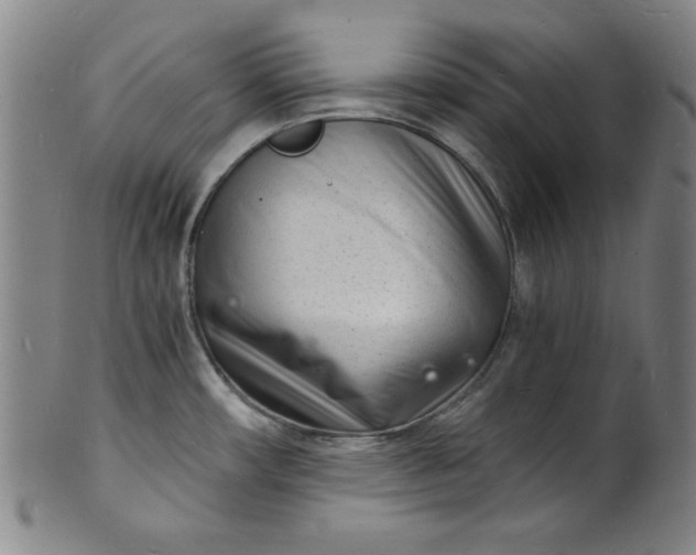 X0000102221482200808081305