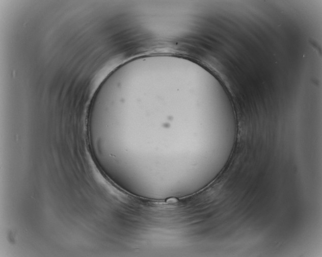 X0000102221483200808081305