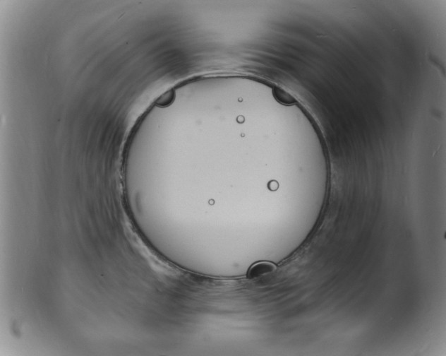 X0000102221485200808081305