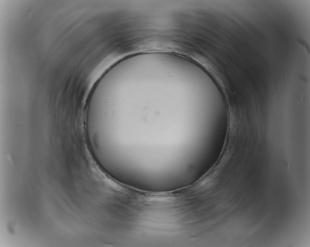 X0000102221486200808081305