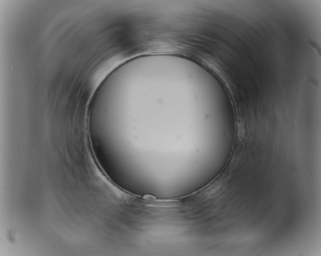 X0000102221487200808081305