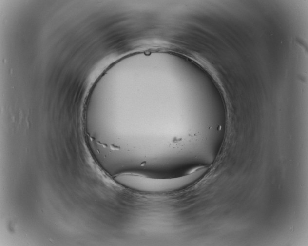 X0000102221488200808081305