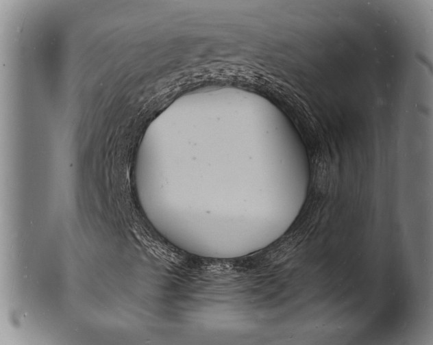 X0000102221489200808081305