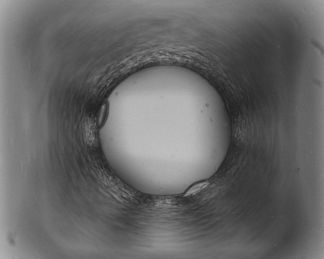 X0000102221490200808081305