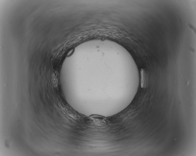 X0000102221491200808081305