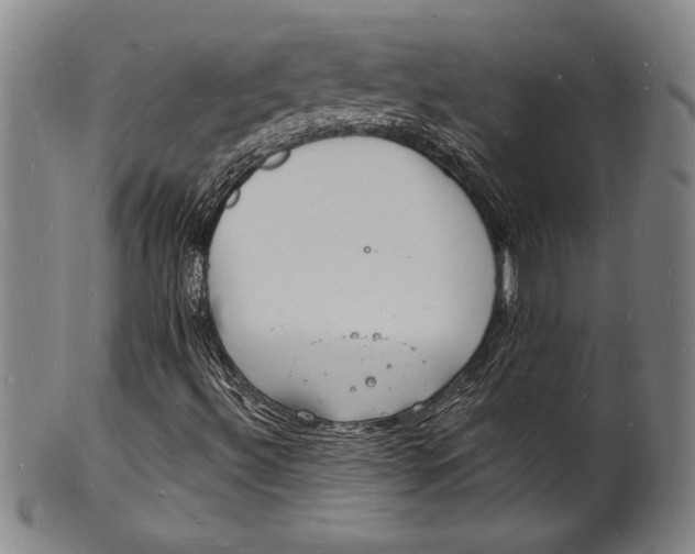 X0000102221492200808081305