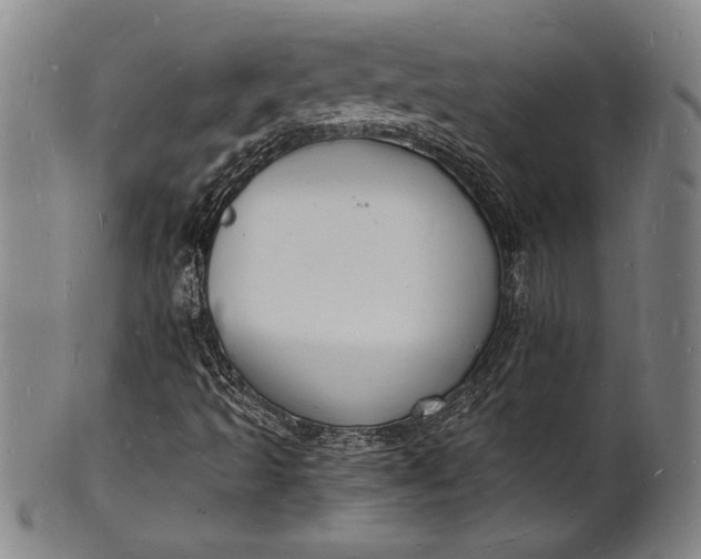 X0000102221493200808081305