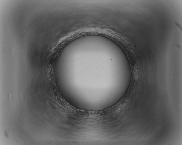 X0000102221494200808081305