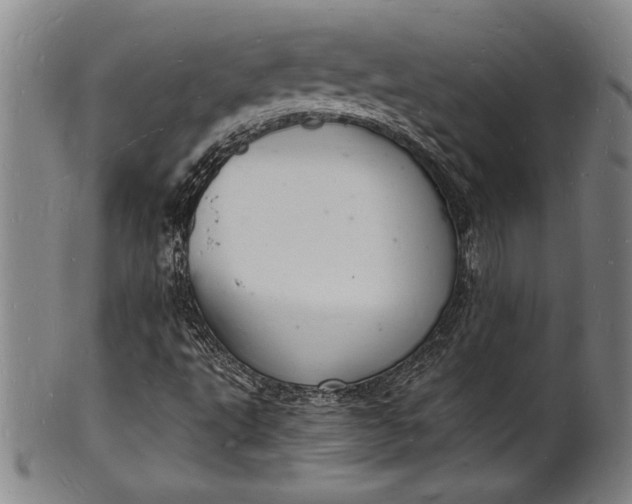 X0000102221495200808081305