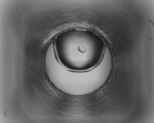 X0000102221496200808081305