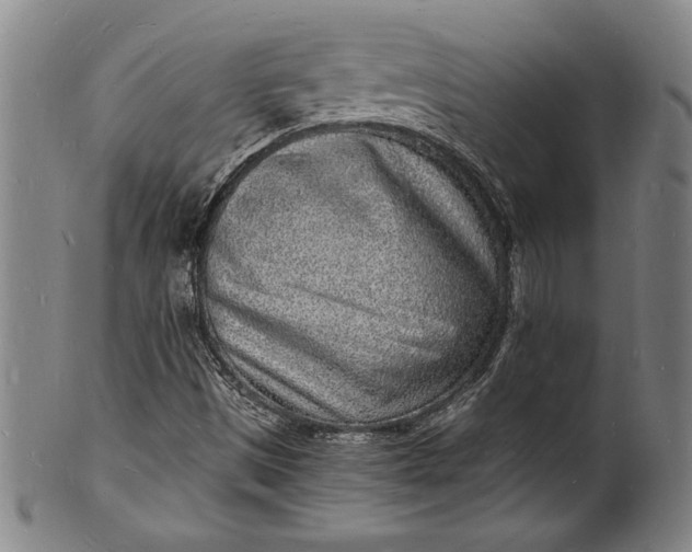 X0000102221497200808081305