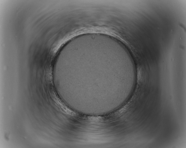 X0000102221498200808081305