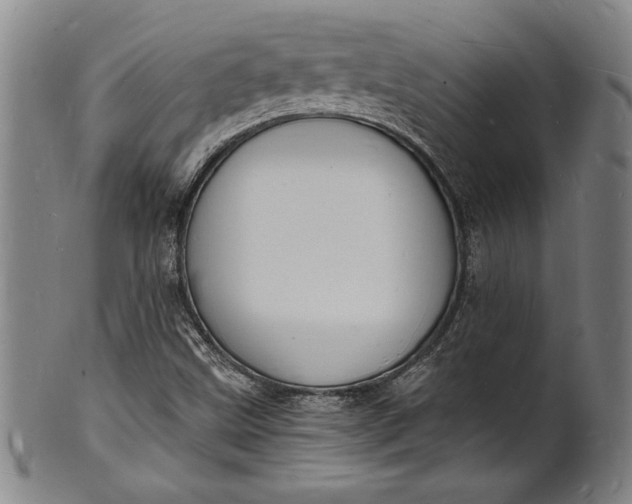 X0000102221499200808081305