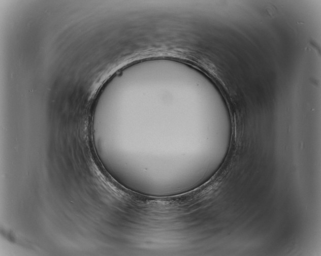 X0000102221500200808081305