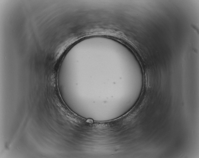 X0000102221501200808081305