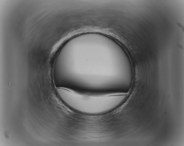 X0000102221502200808081305