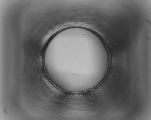 X0000102221503200808081305