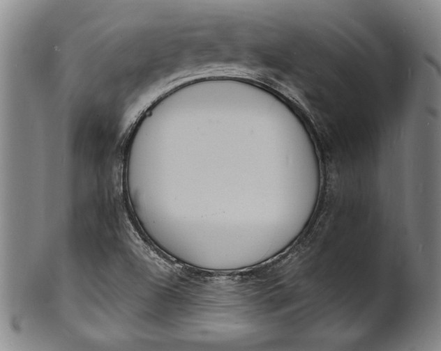 X0000102221504200808081305