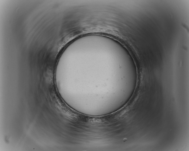 X0000102221505200808081305