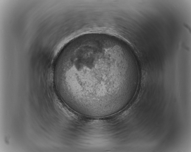 X0000102221506200808081305