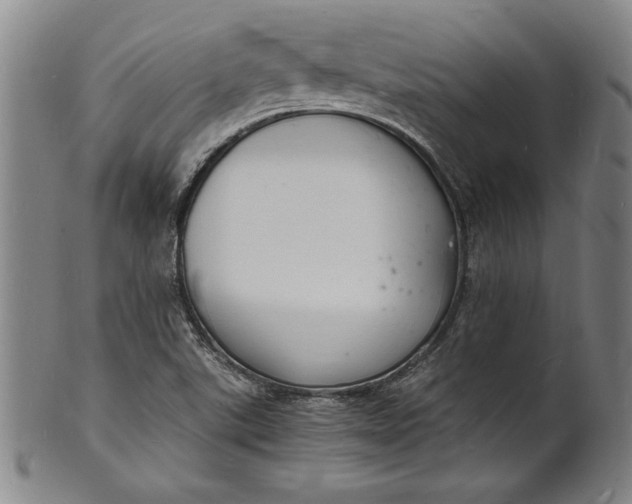 X0000102221507200808081305