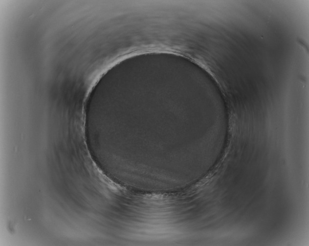 X0000102221508200808081305