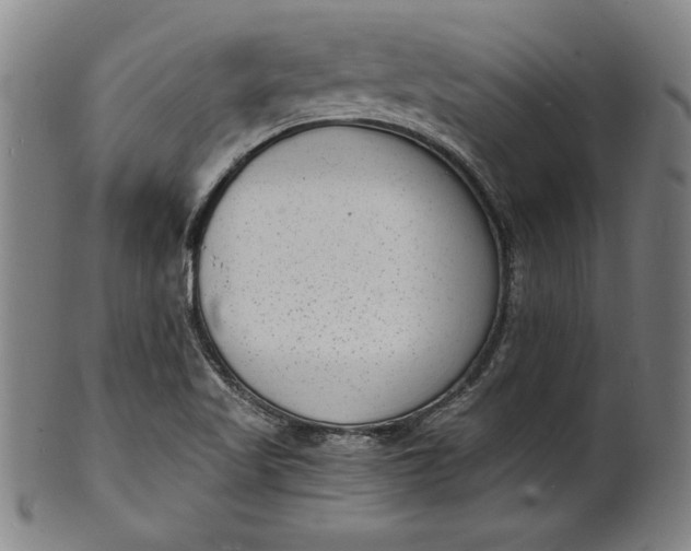 X0000102221509200808081305