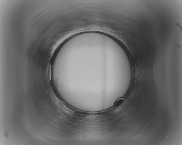 X0000102221510200808081305