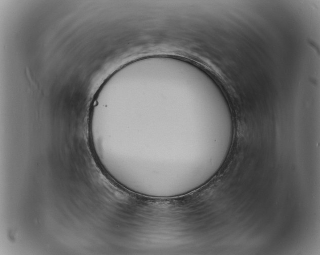 X0000102221512200808081305