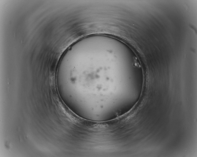 X0000102221513200808081305