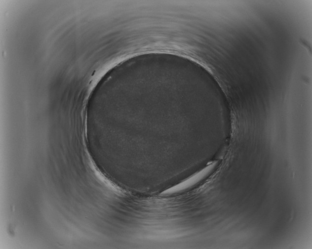 X0000102221515200808081305