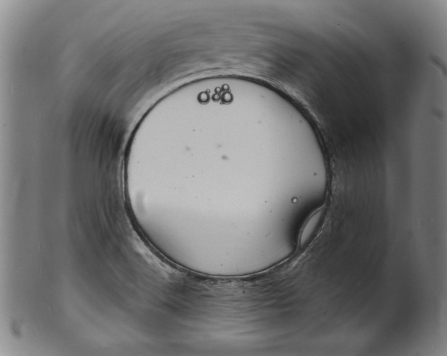 X0000102221516200808081305