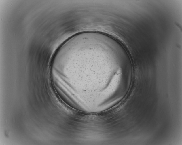 X0000102221517200808081305