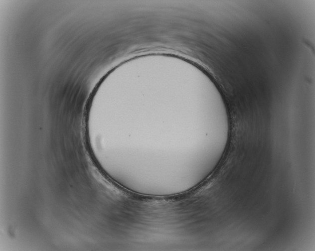 X0000102221518200808081305