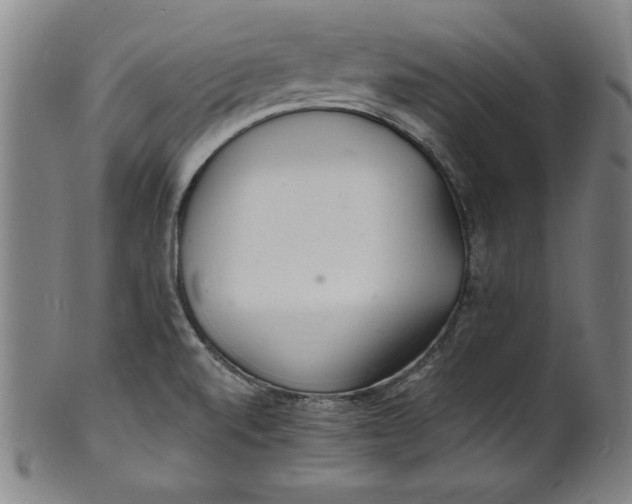 X0000102221520200808081305