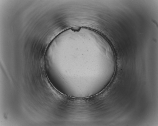 X0000102221521200808081305