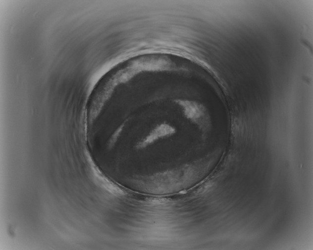 X0000102221522200808081305