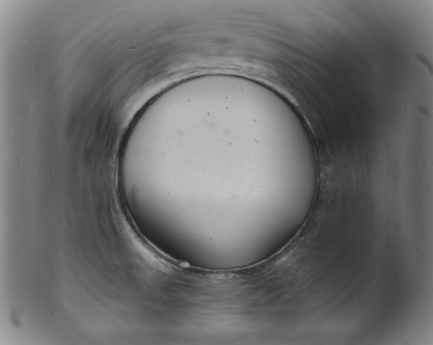 X0000102221523200808081305