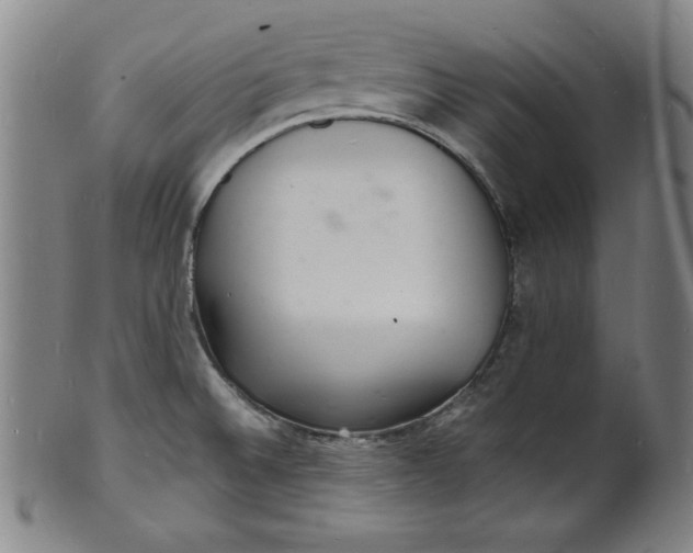 X0000102221524200808081305