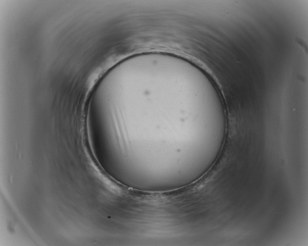 X0000102221525200808081305