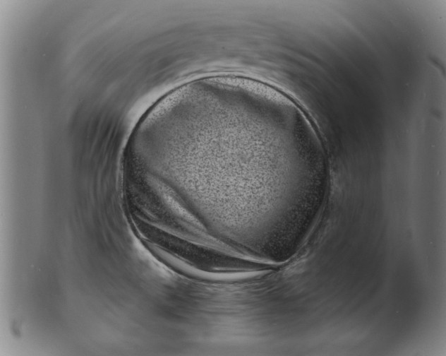 X0000102221527200808081305