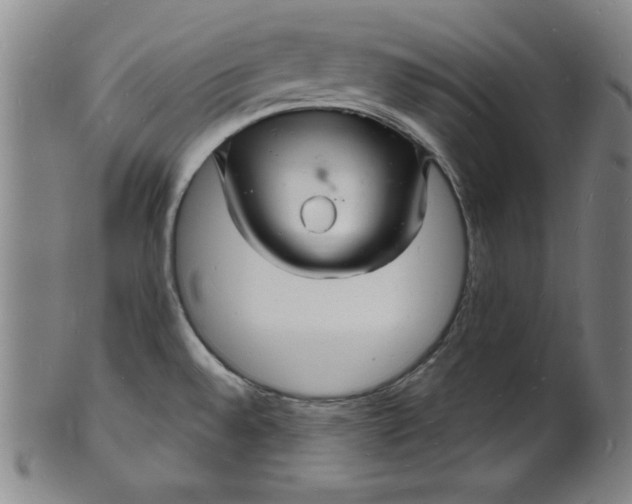 X0000102221528200808081305